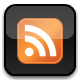 RSS Logo